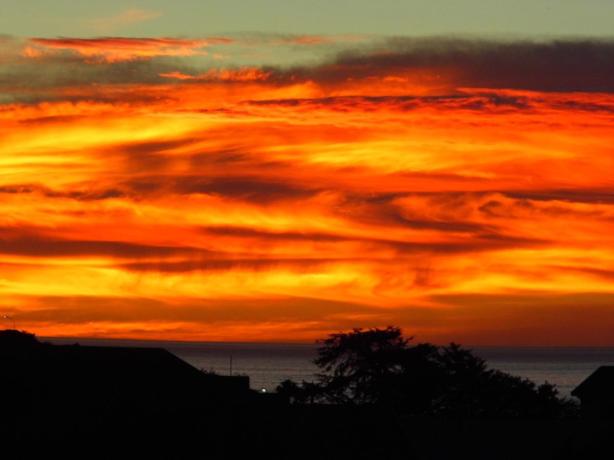 Mnm'S Bnb Napier Buitenkant foto